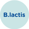 ikonka B. lactis