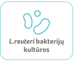 L. reuteri