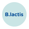 ikonka B. lactis