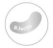 ikona B. lactis