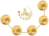 hmo5_orbiterki