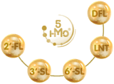 5 HMO