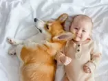 Objawy alergii u dzieci | Baby&Me Medical Objawy alergii u dzieci | Baby&Me Medical