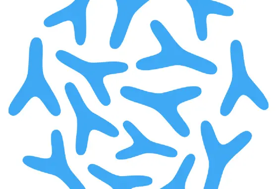 Chromosomy Y Chromosomy Y