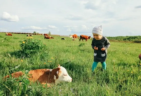 Mikrobiota - tajny sojusznik czy ukryty wróg? Dziecko w polu z krowami