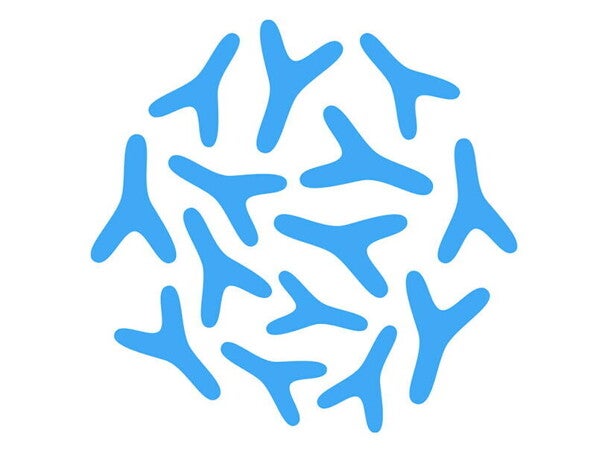 chromosomy_y