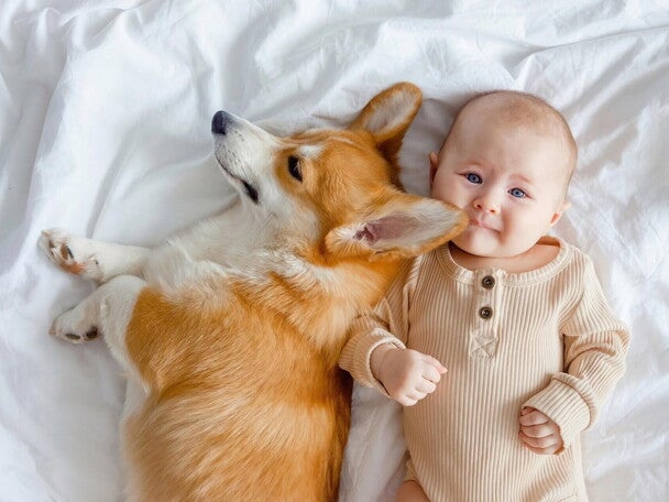 Objawy alergii u dzieci | Baby&Me Medical