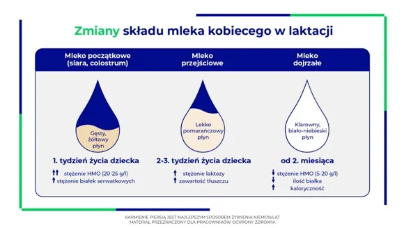 Jak skład mleka matki zmienia się w czasie - siara, mleko przejściowe, mleko dojrzałe