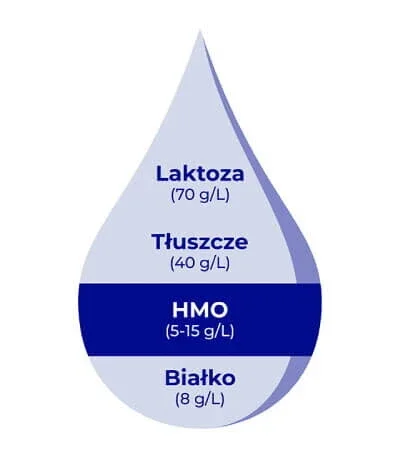 Kropla mleka kobiecego z podziałem na składniki: HMO, białko, tłuszcze i laktoza