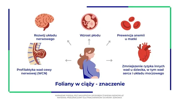 Znaczenie folianów w ciąży dla prawidłowego rozwoju płodu