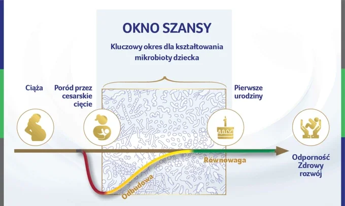 wykres rozwoju mikrobioty