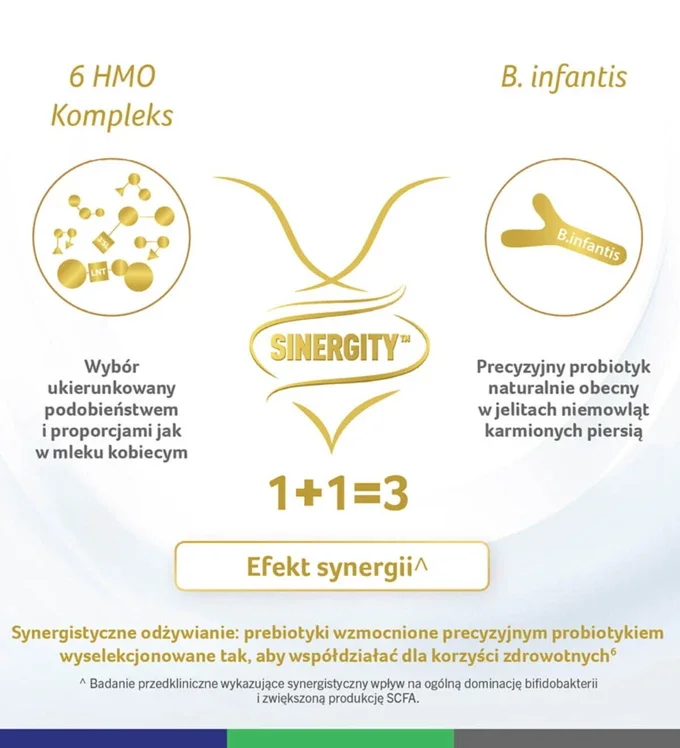 infografika efekt synergii między HMO i B.infantis